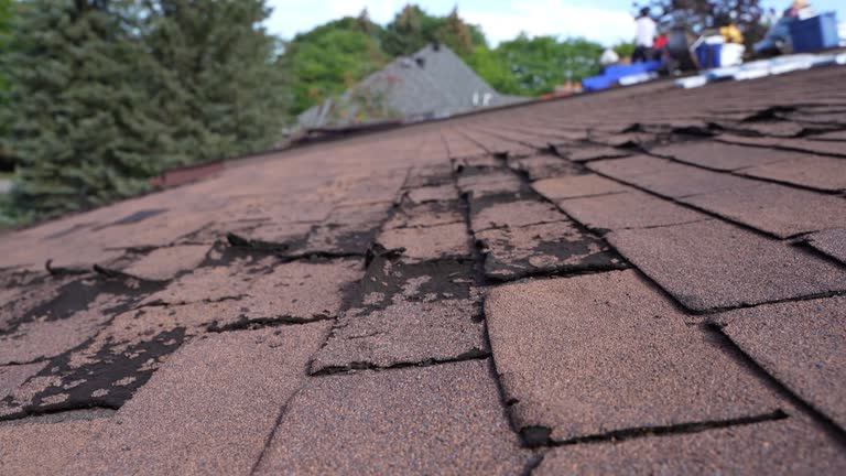 Best Roof Moss and Algae Removal  in Boronda, CA