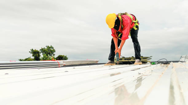 Best Chimney Flashing Repair  in Boronda, CA